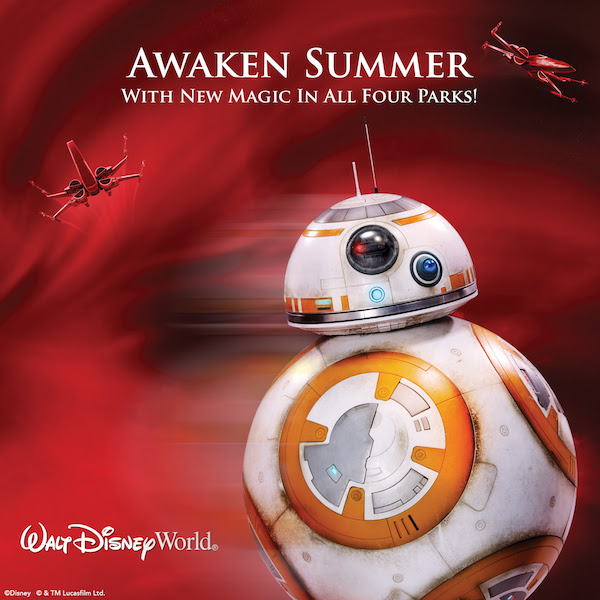 Awaken Summer Discount