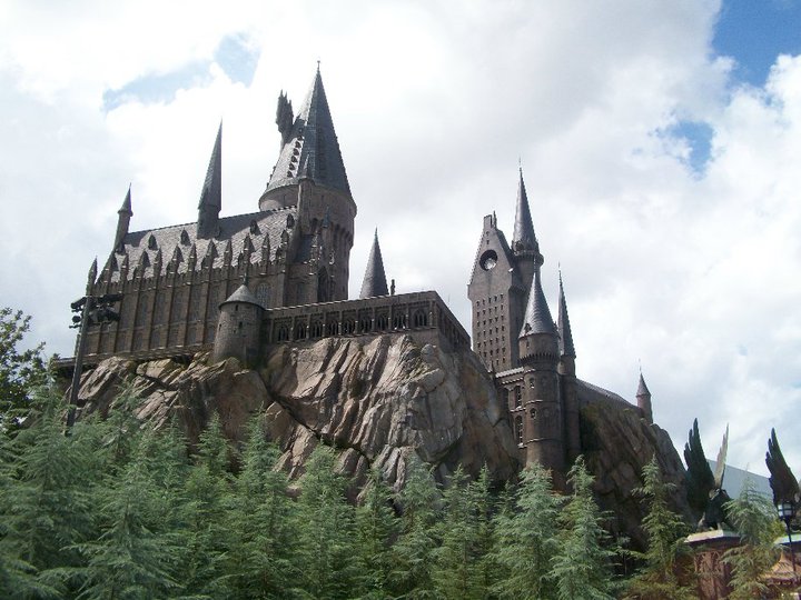 46272_1560094755805_1444210_n