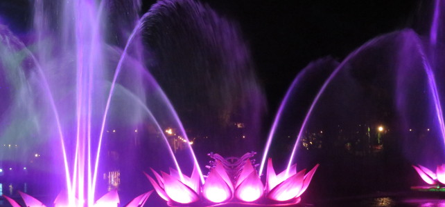 Twenty Years of Animal Kingdom