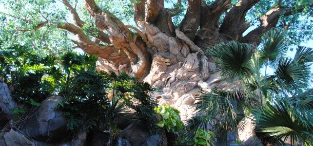 The Tree of Life: Up Close and Personal The Tree of Life: Up Close and Personal