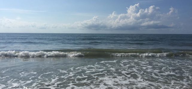 Disney’s Hilton Head Island Resort