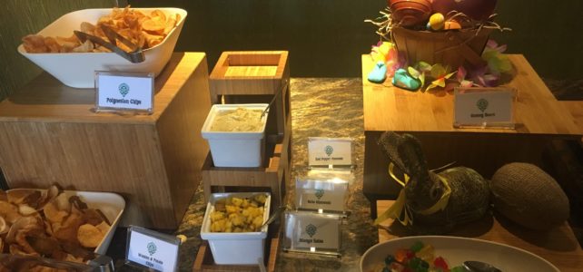 Stay in the Lap of Luxury at Disney’s Polynesian Village Resort – My Club Level Experience