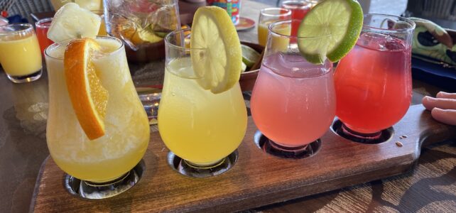 Sangria University at Walt Disney World