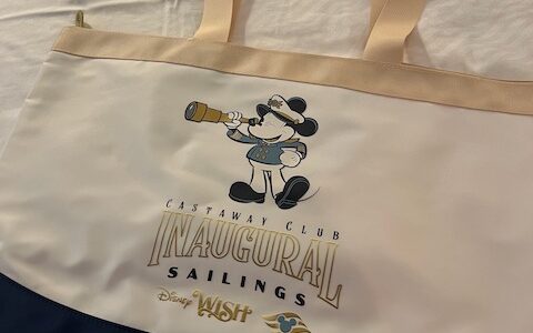 Disney Cruise Line’s Castaway Club